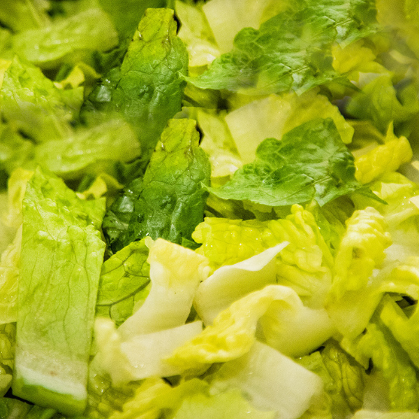 Shredded romaine lettuce